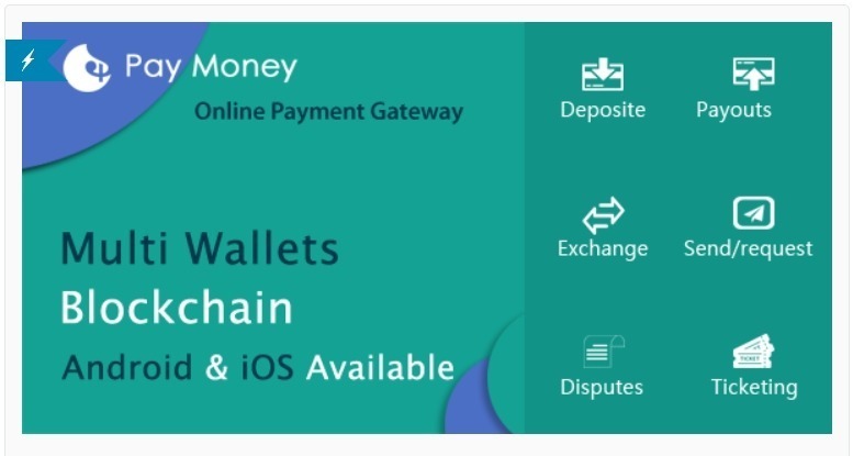 paymoney-secure-online-payment-gateway.jpg